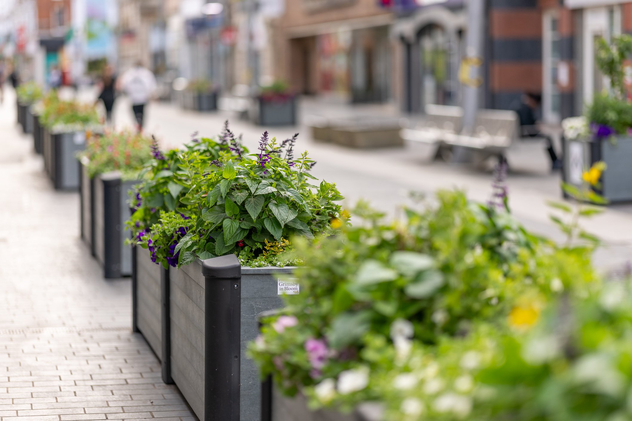 2025_06_23_18_06_03_IMG8833