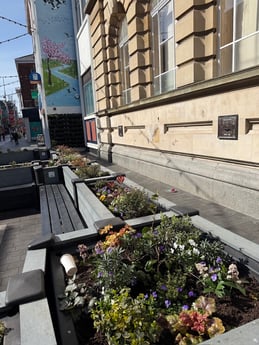 Flowers Mural - march 2026